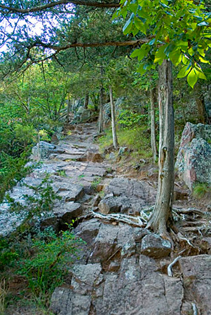 47 The Rugged Ozark Trail