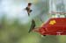 54 Three Hummers