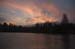 Daisy Farm Sunset