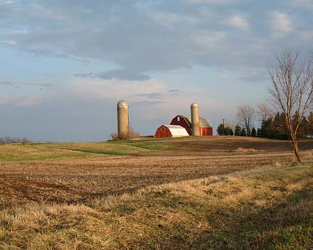 Leica Farm