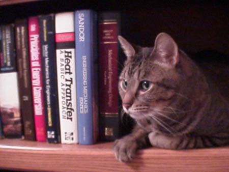 04_smartkitty