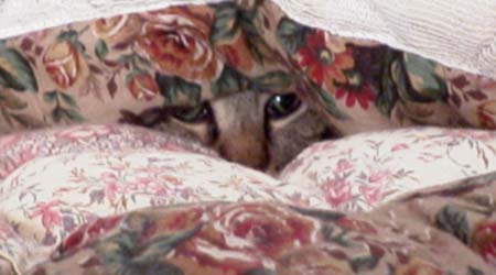 15_hidingfromthevacuum