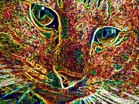 19_neoncat