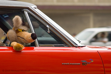 Willey Coyote and the Roadrunner