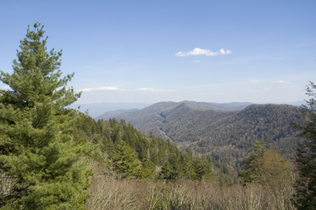 Newfound Gap