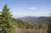 Newfound Gap