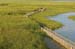 Marshland Boardwalk