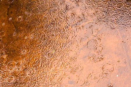 Raindrops