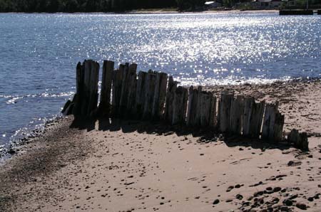 05_stumps