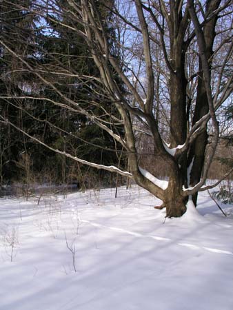 02_winterview
