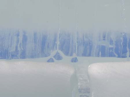 03_icebock
