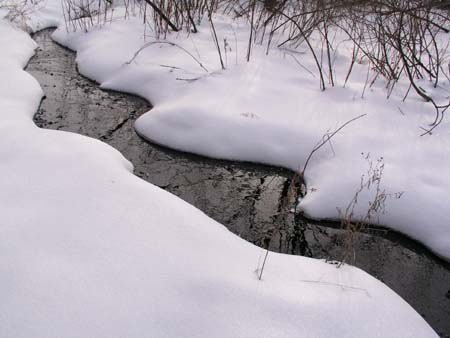 05_winter_stream