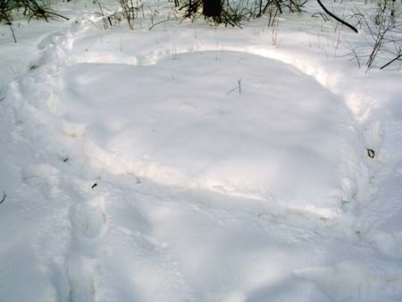 08_snowheart