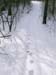 01_bunny_tracks