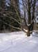 02_winterview